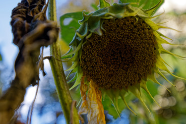 Similar image 22247225