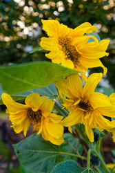 Similar image 22247226