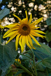 Similar image 22247227