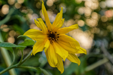 Similar image 22247228