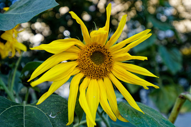 Similar image 22247229