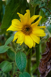 Similar image 22247230