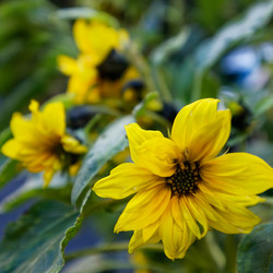 Similar image 22247231