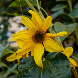 Similar image 22247232