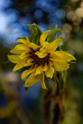 Similar image 22247233