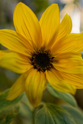 Similar image 22247234