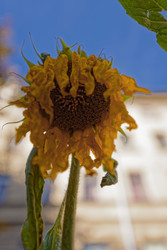 Similar image 22247235