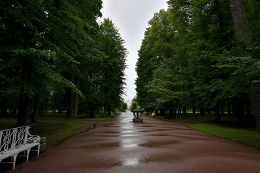 Similar image 22246708