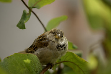 Similar image 22246619