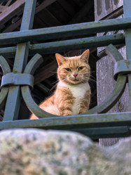 Similar image 22246960