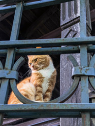 Similar image 22246961