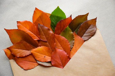 Similar image 22247238