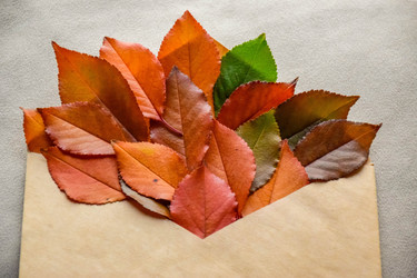 Similar image 22247239