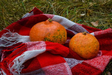 Similar image 22247241