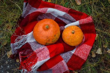 Similar image 22247242