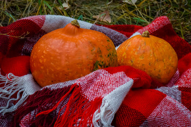 Similar image 22247243