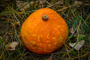 Similar image 22247244