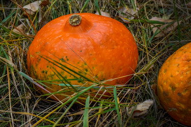 Similar image 22247245