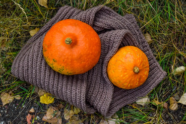 Similar image 22247246