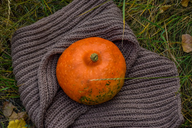 Similar image 22247248