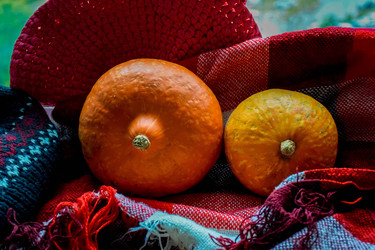 Similar image 22247455