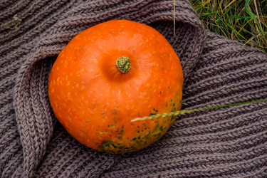 Similar image 22247456