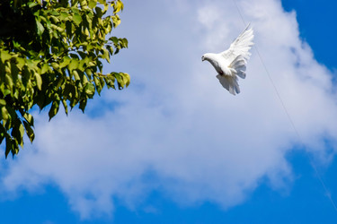 Similar image 22247460