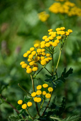 Similar image 22247463