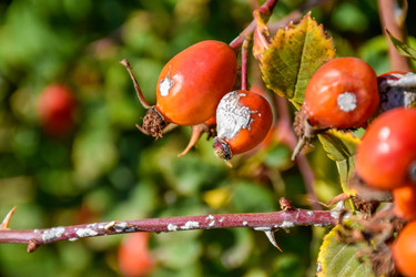 Similar image 22247464