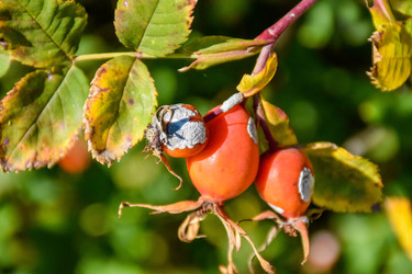 Similar image 22247465