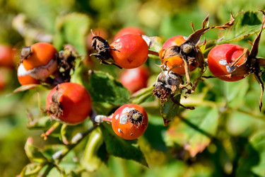 Similar image 22247466