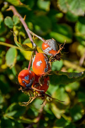 Similar image 22247467