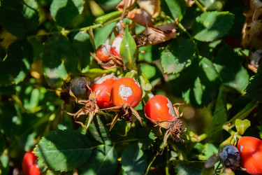 Similar image 22247468