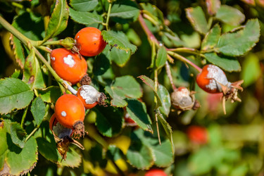 Similar image 22247469