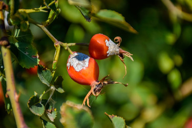 Similar image 22247470