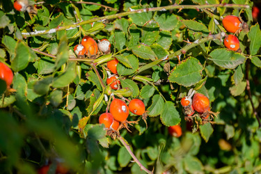 Similar image 22247471