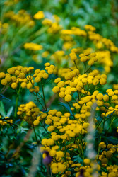 Similar image 22247472