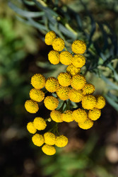 Similar image 22247474