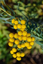 Similar image 22247475