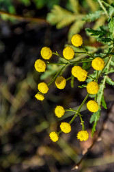 Similar image 22247476