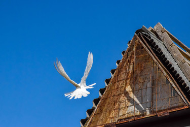 Similar image 22247477