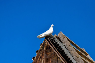 Similar image 22247478