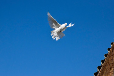 Similar image 22247479