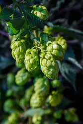 Similar image 22247480