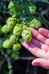 Similar image 22247481