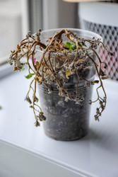 Similar image 22247483