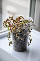 Similar image 22247484