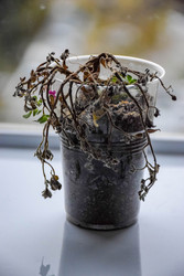 Similar image 22247485