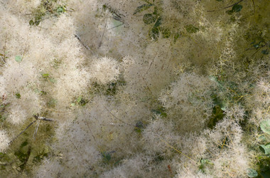 Similar image 22247249