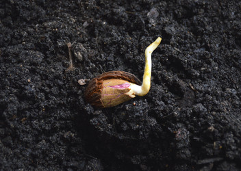 Similar image 22247255